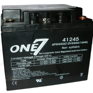 BATTERIA UPS ONE7 - 41245 - 6FM45G